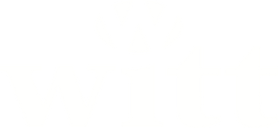 Witt Pizza Oven & Accessories