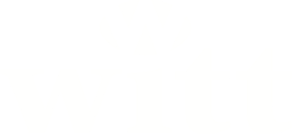 Witt Pizza Oven & Accessories